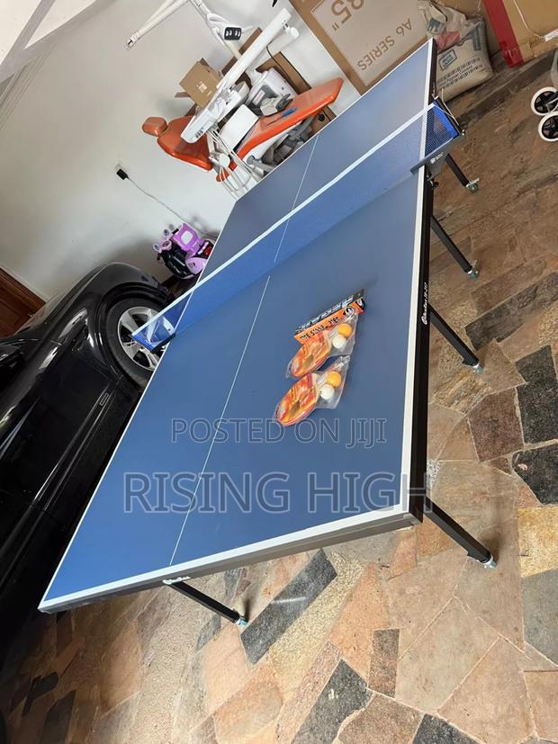 Table Tennis Play Set