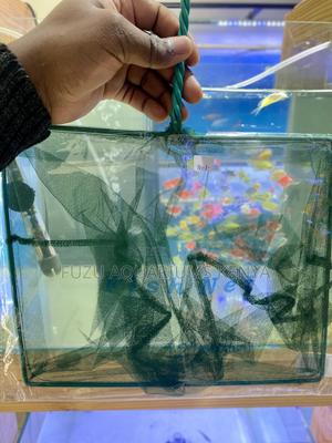 Scoop With Ease – Premium Aquarium Fishnets - thumbnail 2