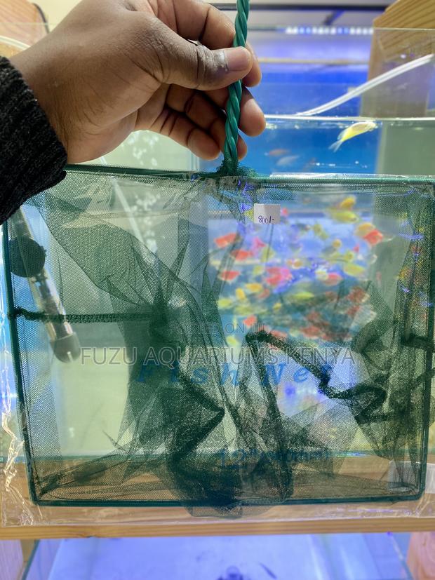 Scoop With Ease – Premium Aquarium Fishnets - main view