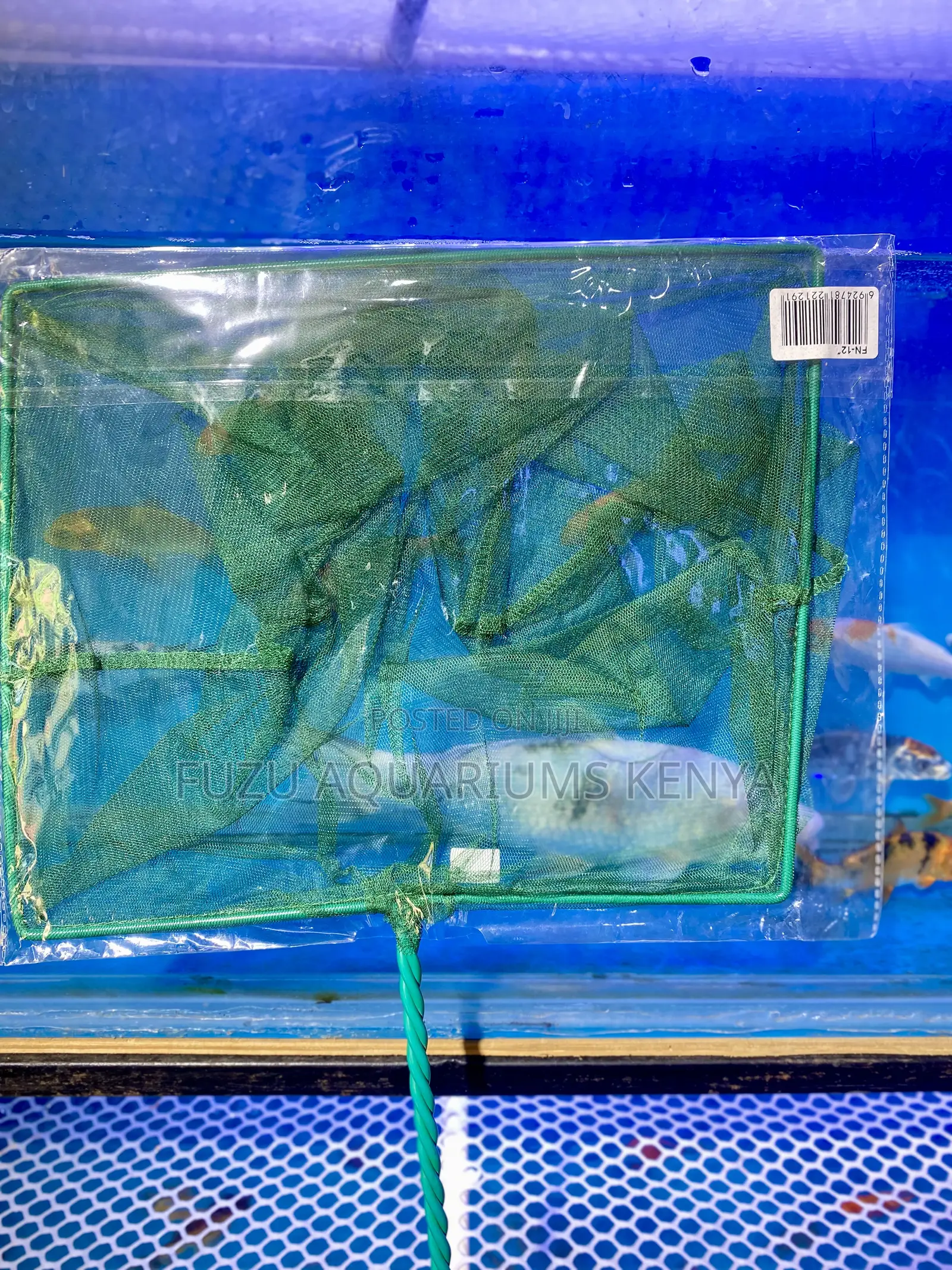 Your Tank’S Best Tool – Get the Right Fishnet Today