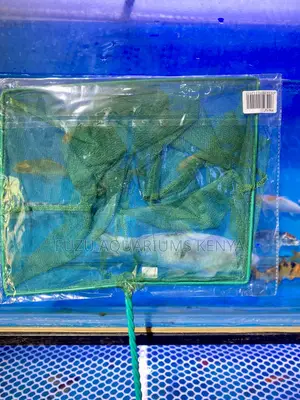 Your Tank’S Best Tool – Get the Right Fishnet Today