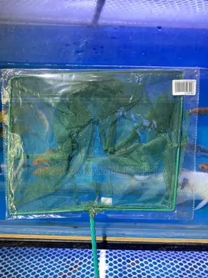 Smooth Handling, Catching–Aquarium Fishnets Available