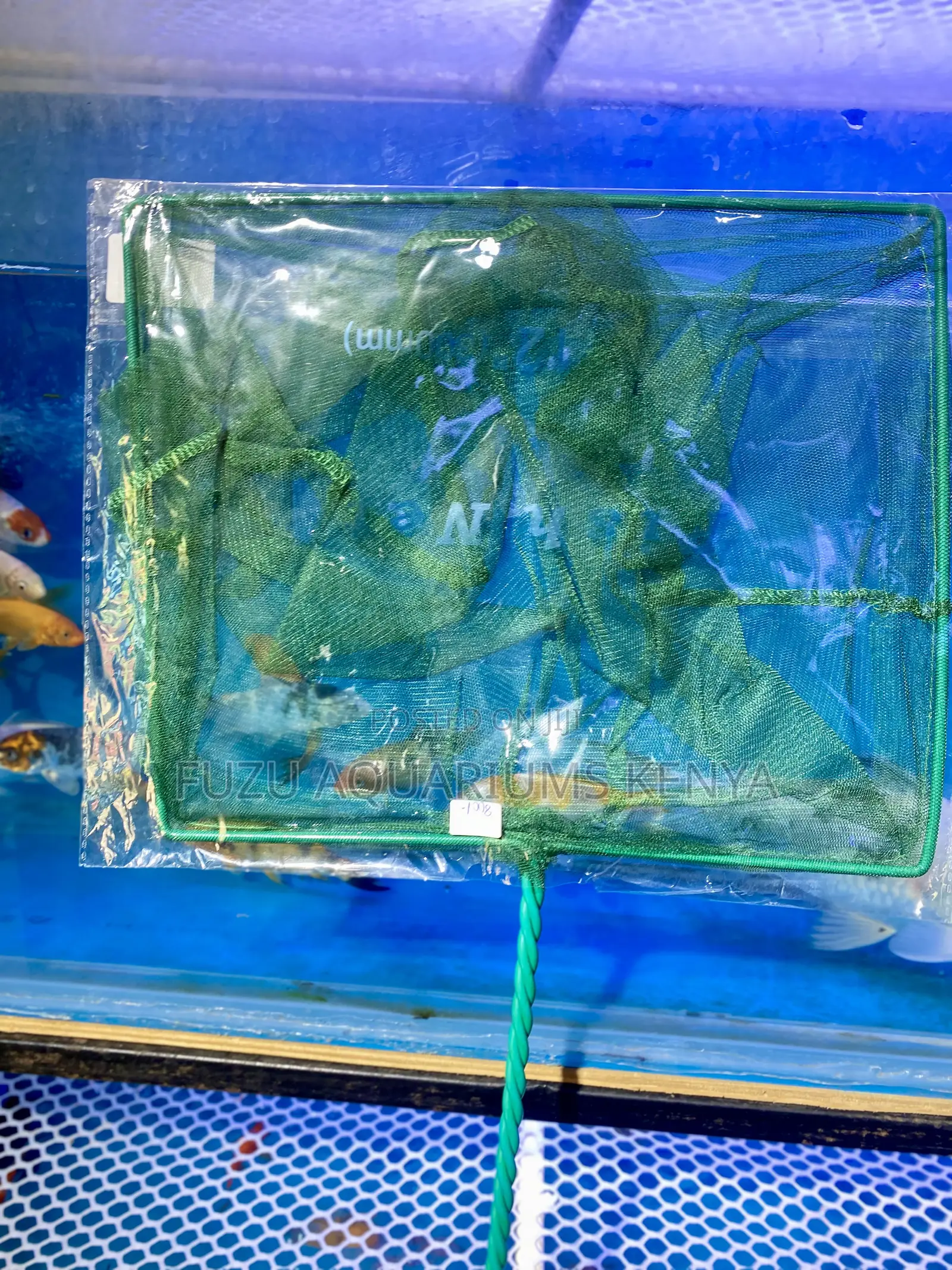Tough on Jobs, Gentle on Fish – Shop Our Aquarium Fishnets