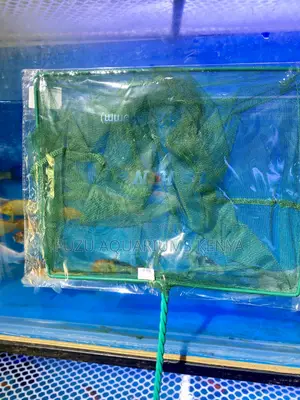 Net Like a Pro – Reliable Aquarium Fishnets for Every Tank!