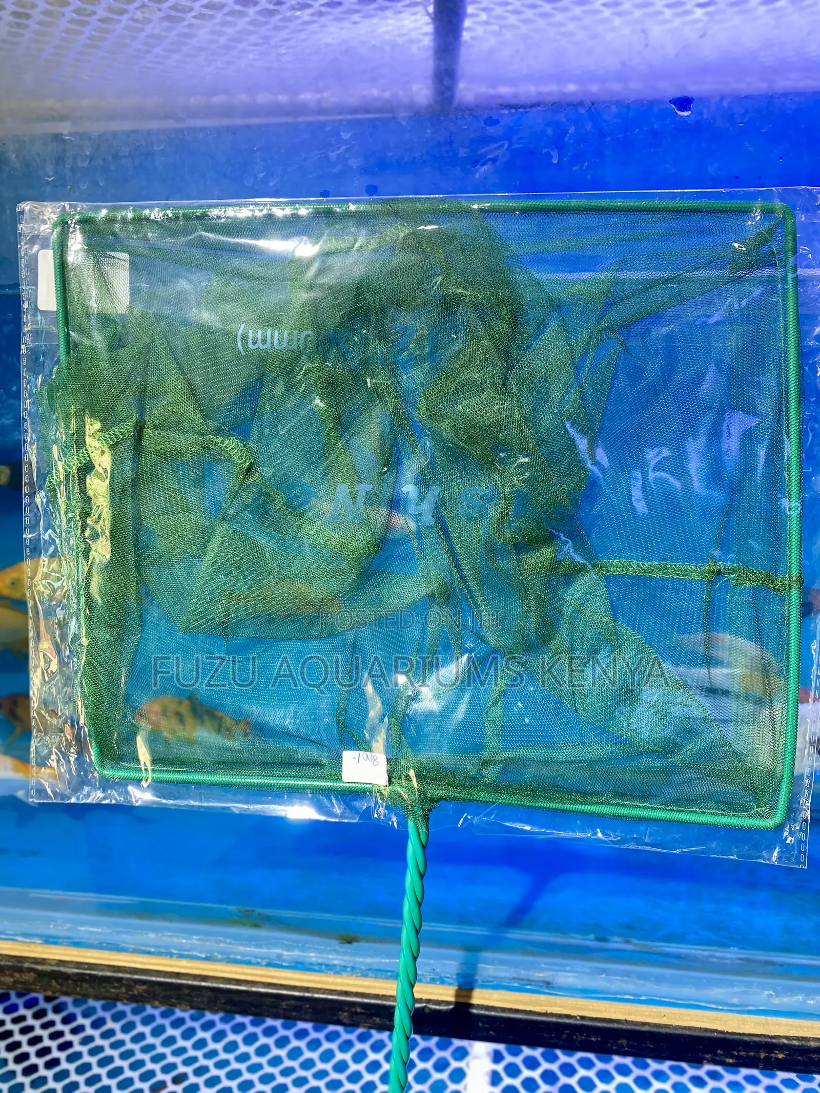 Catch, Clean, Care – All With Our Aquarium Fishnets