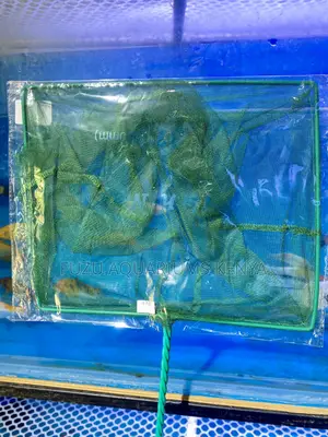 Catch, Clean, Care – All With Our Aquarium Fishnets