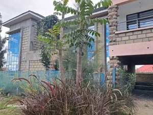 4bdrm Mansion in Milimani, Kitengela for rent