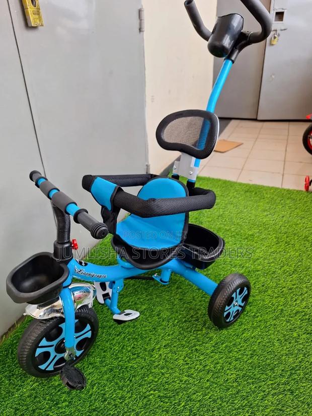 Push Handle Tricycle- Blue