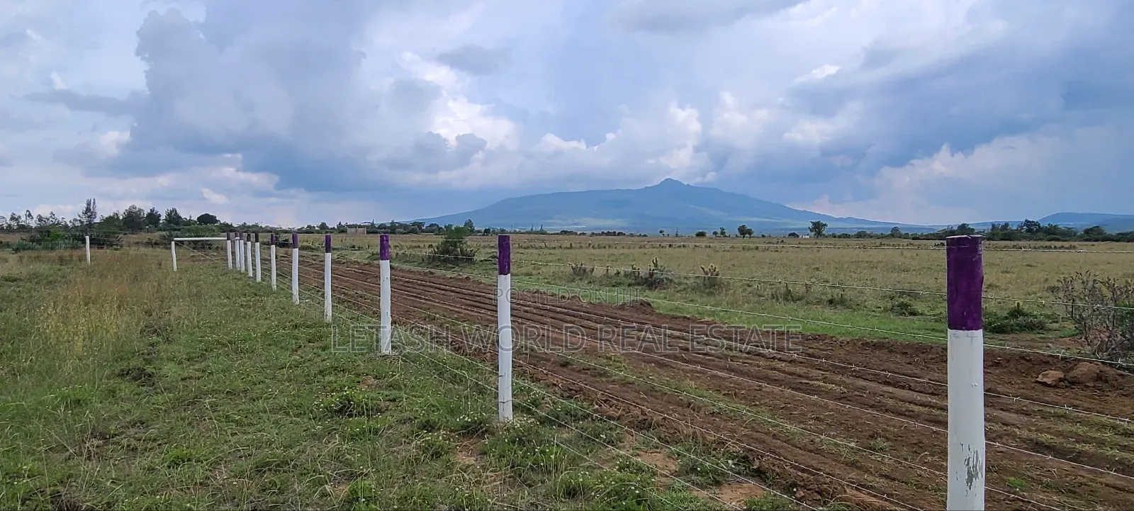 Get Longonot View Phase 4 for in Installments