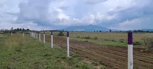 Get Longonot View Phase 4 for in Installments