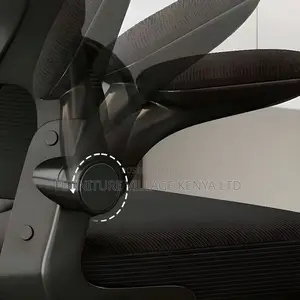 Office Chair: Ergonomic Seat Solution With Raiseable Armrest