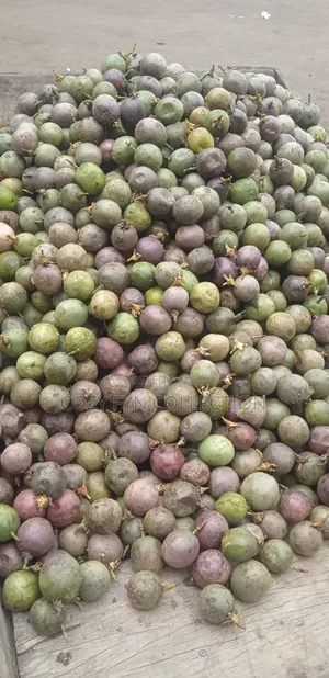 Passion Fruit Fresh