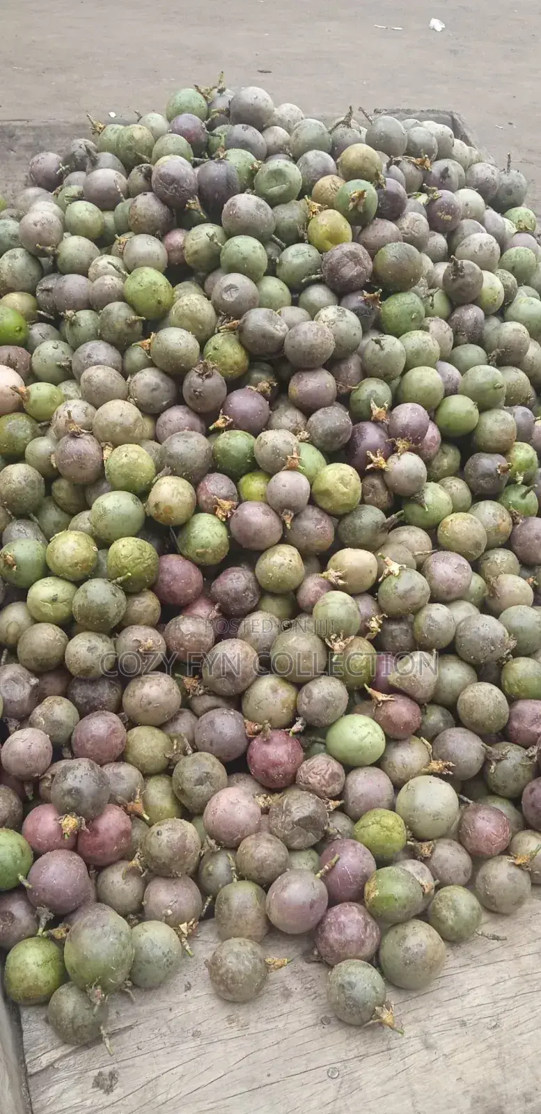 Passion Fruit Fresh