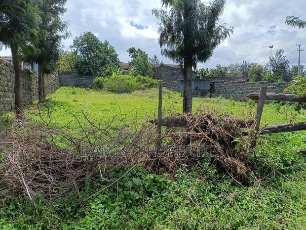 1/4 Plot for Sale in Naka Estate