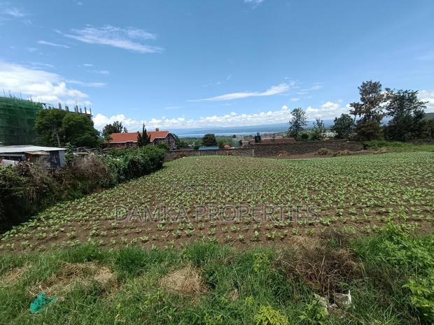 1/4 Plot for Sale in Naka Estate - thumbnail 3