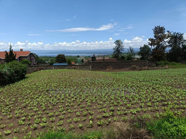 1/4 Plot for Sale in Naka Estate - thumbnail 4