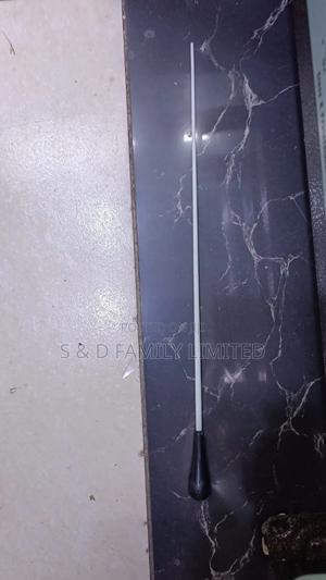 Conducting Sticks - thumbnail 2