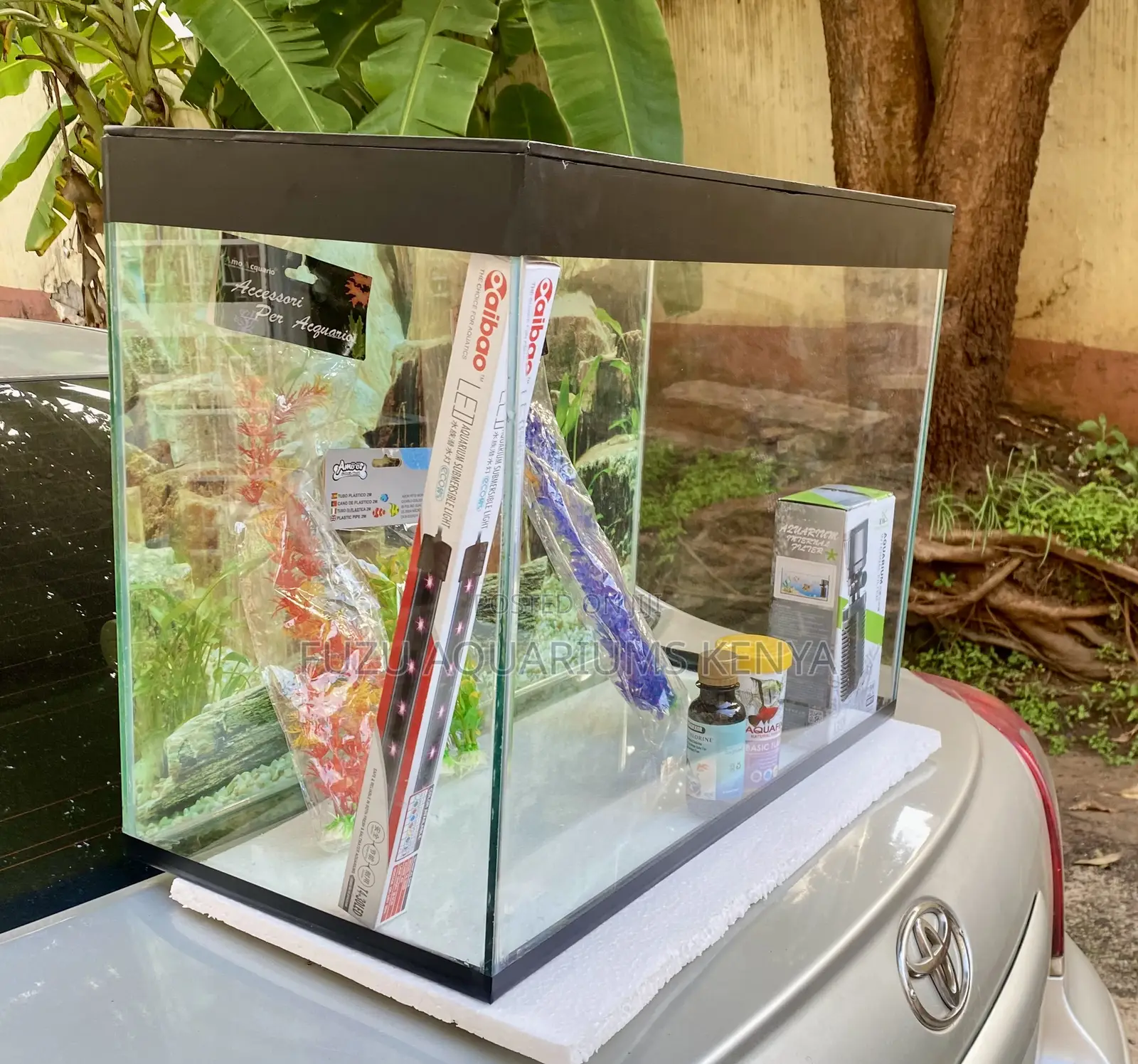 Turn Your Space Into an Paradise With This Midi Aquarium