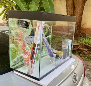 Turn Your Space Into an Paradise With This Midi Aquarium