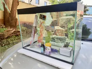 Live Aquarium Experience – Setup in Minutes