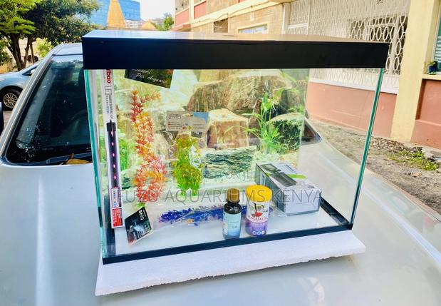 Bring Nature Indoors With This Fully Equipped Aquarium