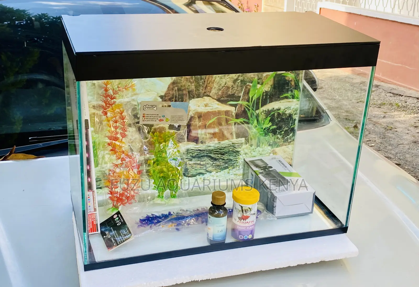 Brighten Your Office or Home With a Live Aquarium Kit