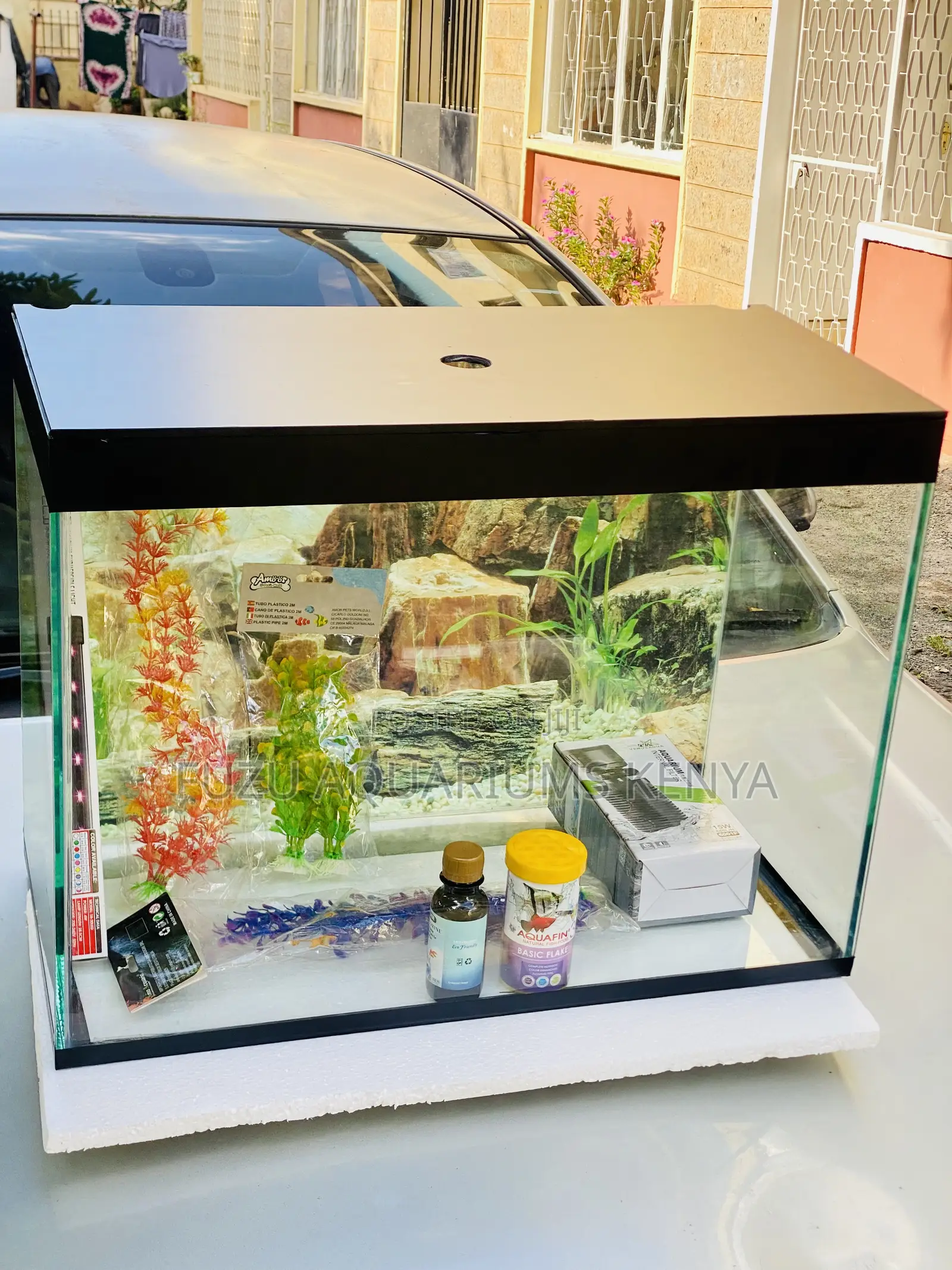 Low-Maintenance Aquarium – Everything You Need in One Box