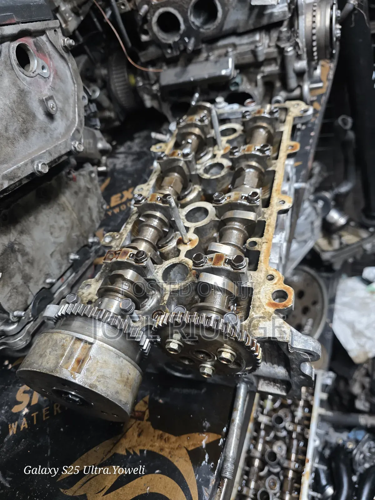 1sz Cylinder Head Vits