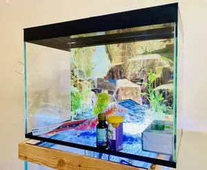 Elegant Aquarium Set – Fish Included!