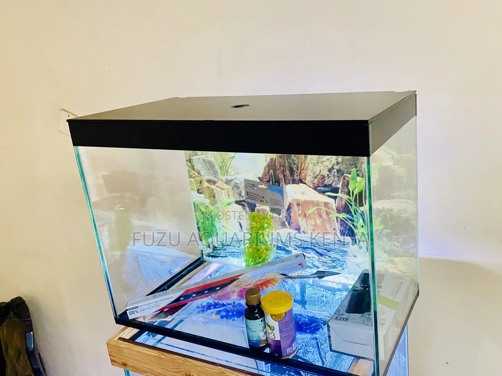 The Perfect Gift – Aquarium Kit With Fish Food
