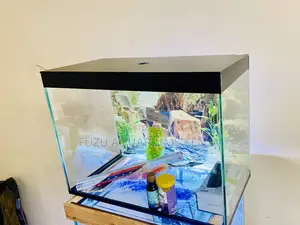 The Perfect Gift – Aquarium Kit With Fish Food