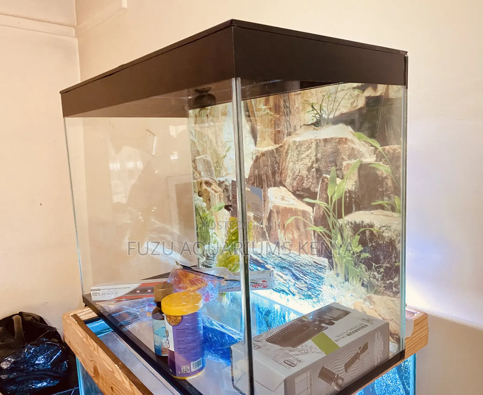 Turnkey Aquarium – Just Plug in Enjoy!