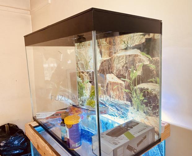 Turnkey Aquarium – Just Plug in Enjoy!