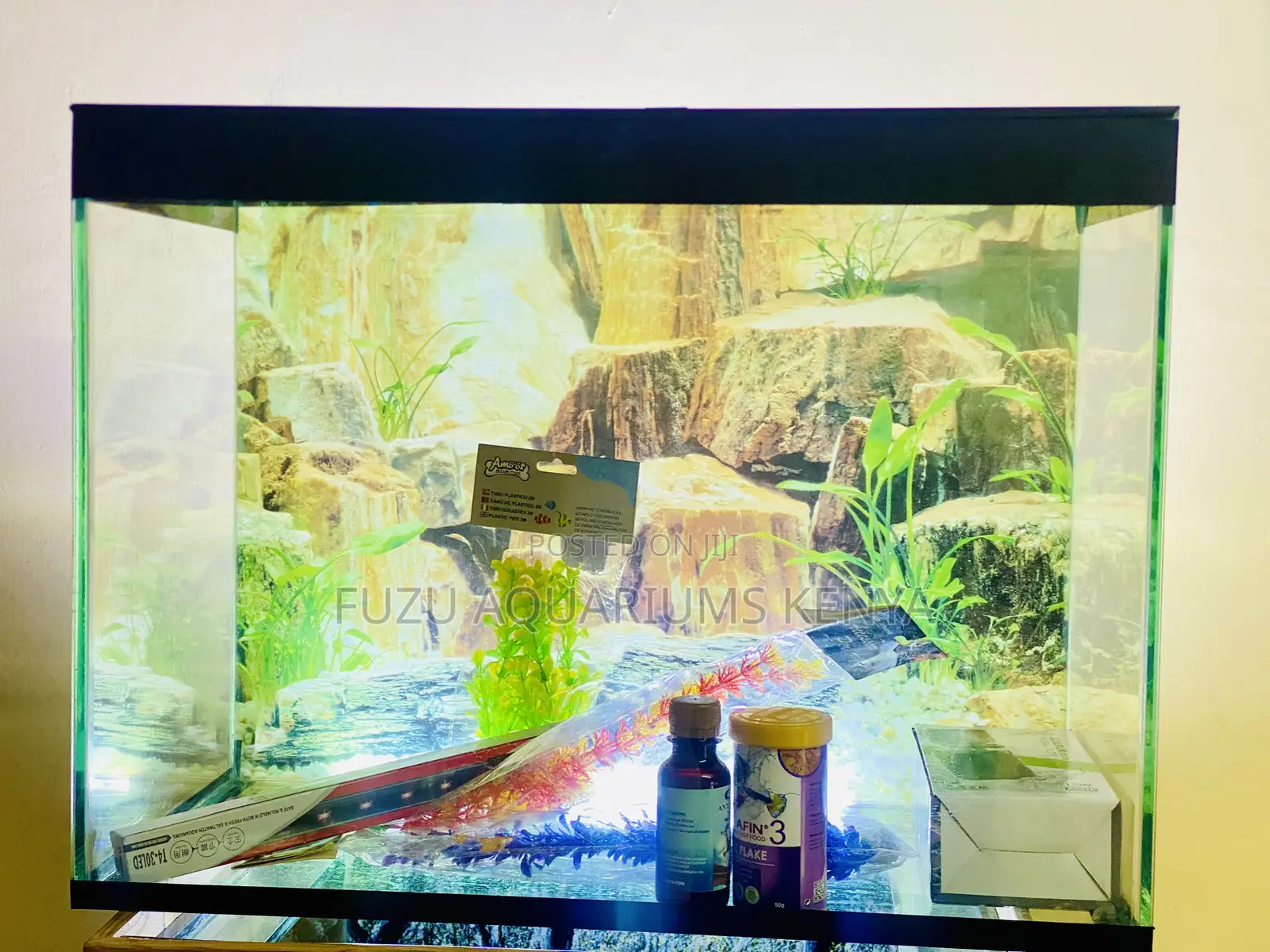 Your Aquatic Journey Starts Here – Full Kit Included