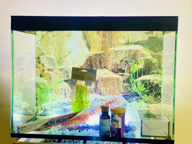 Your Aquatic Journey Starts Here – Full Kit Included