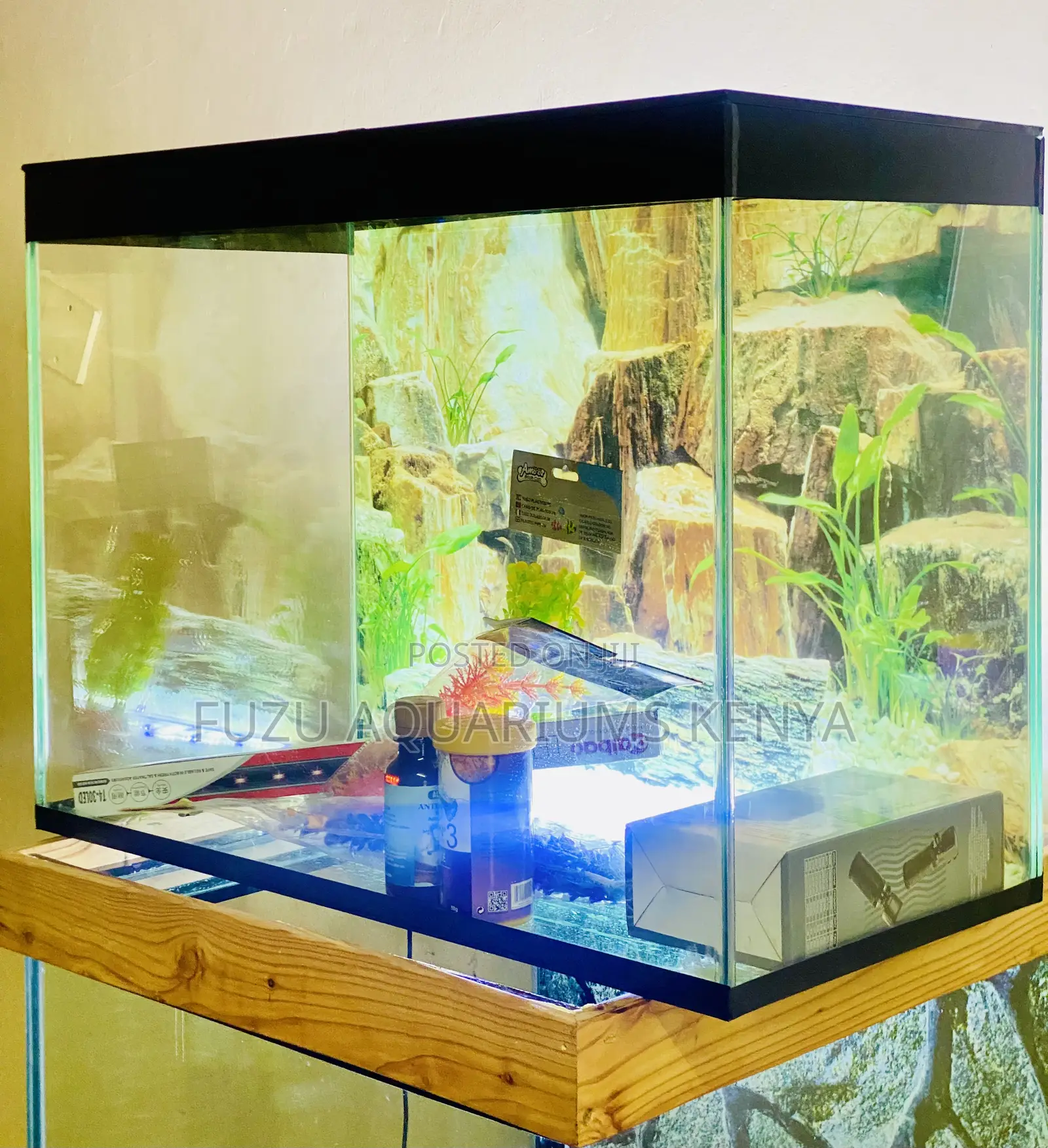 Smart Aquarium for Modern Homes