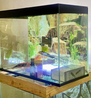 Breathe Life Into Any Room With This Aquarium - thumbnail 2