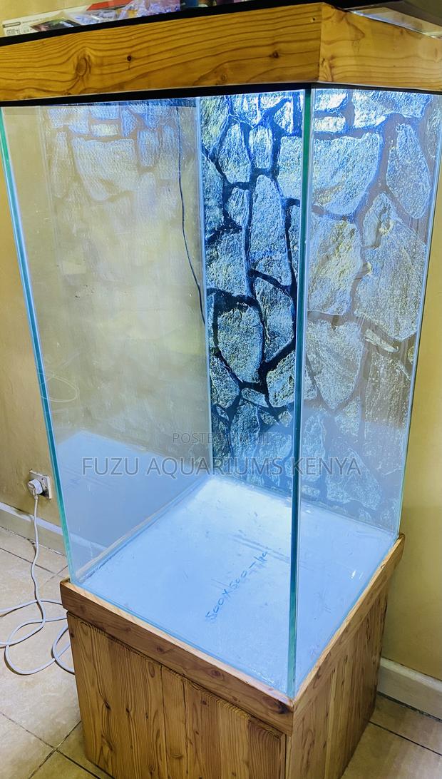 Tall Tranquil Aquarium – Your Peaceful Corner Awaits - main view