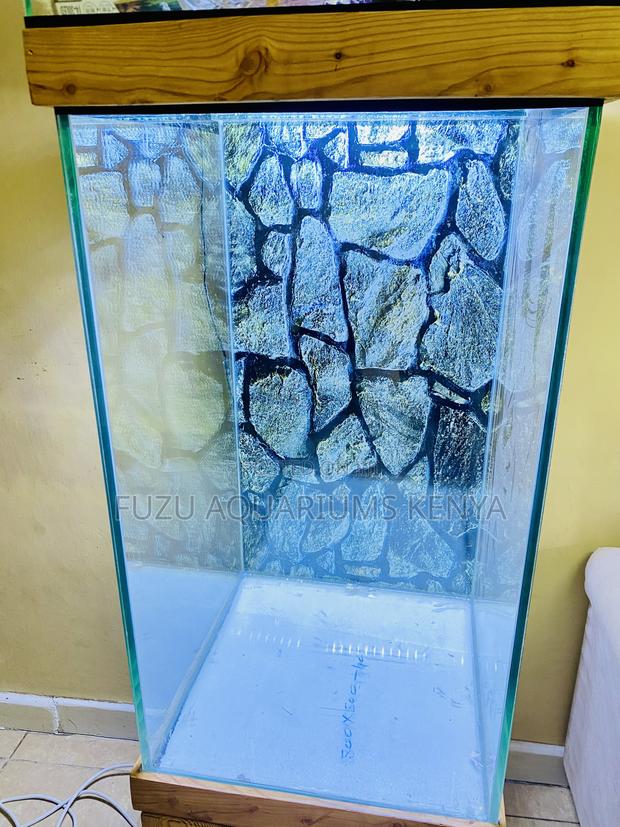 Luxury Aquarium With Fish – Plug Play Package