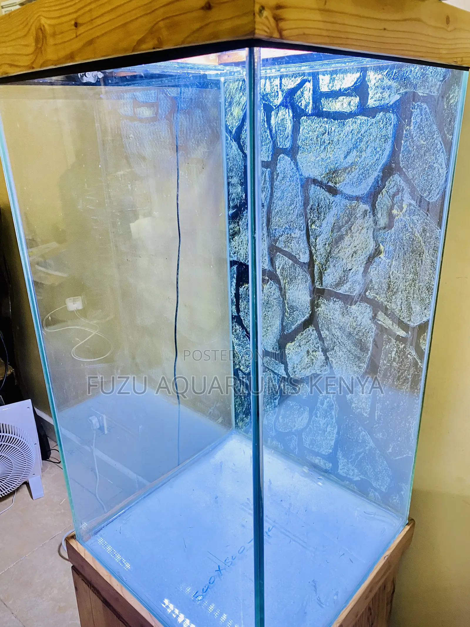Tall Glass Aquarium – Fully Stocked Lit
