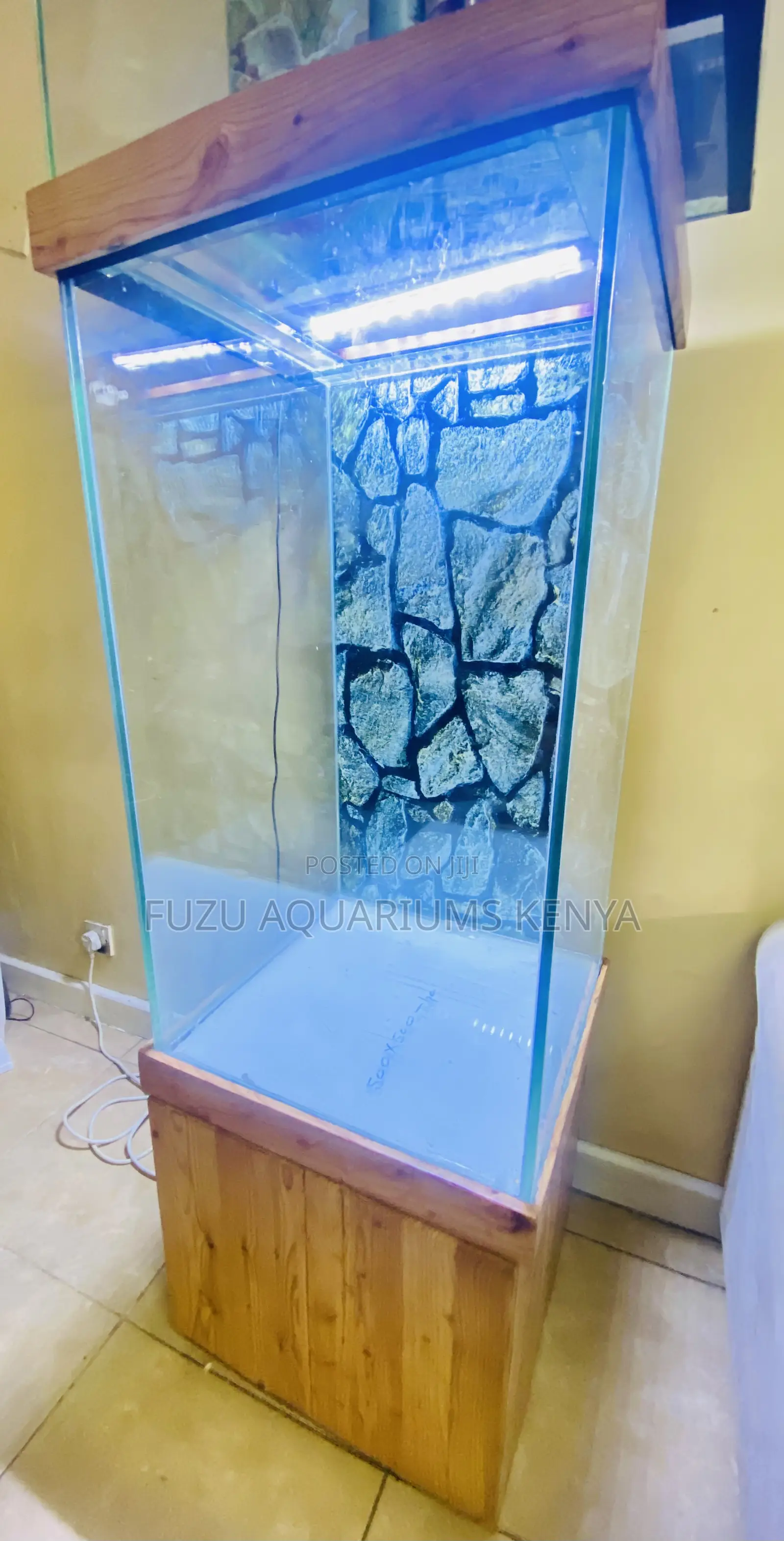 Elegant Display Aquarium – Fish, Pump, and Food Included