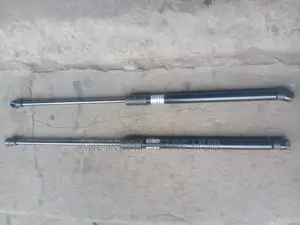 Lexus Rx570 Bonnet Shocks