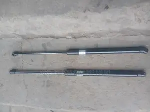 Lexus Rx570 Bonnet Shocks
