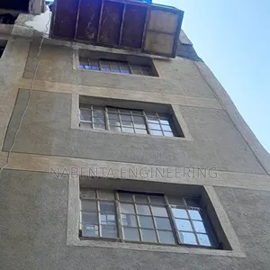 Suspended Wire Crane