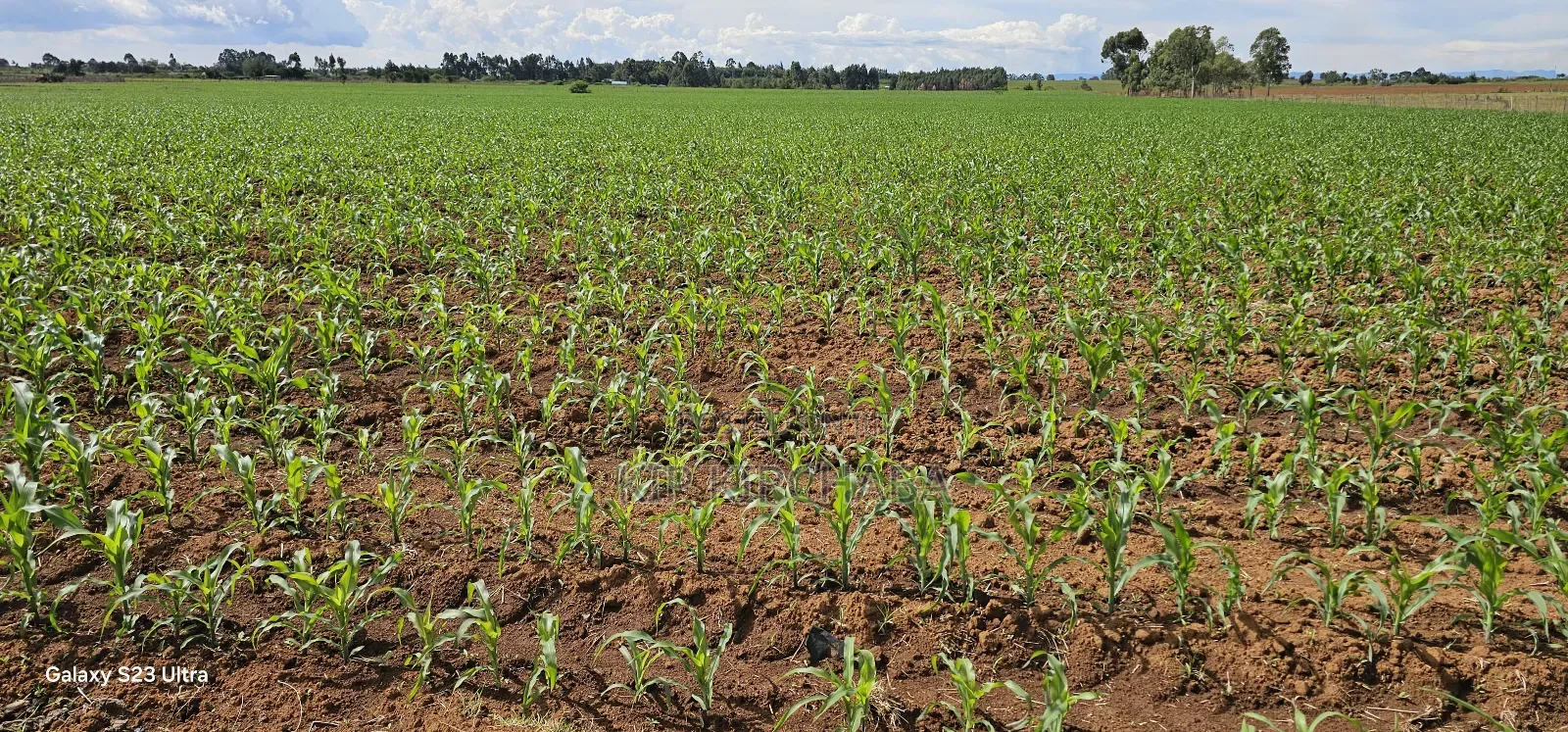 4 Acres for Sale in Kapropu Eldoret Fully Arable
