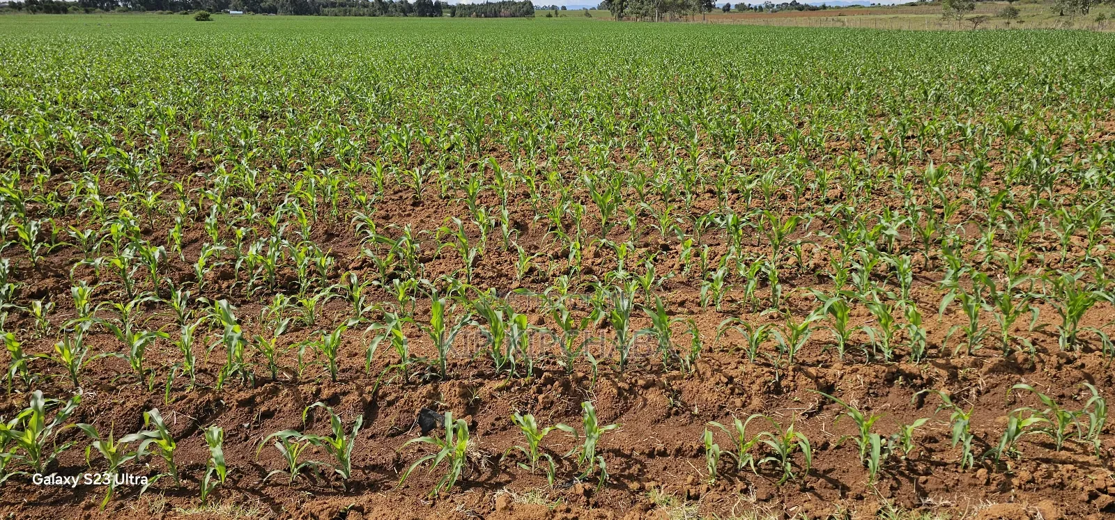 4 Acres for Sale in Kapropu Eldoret Fully Arable
