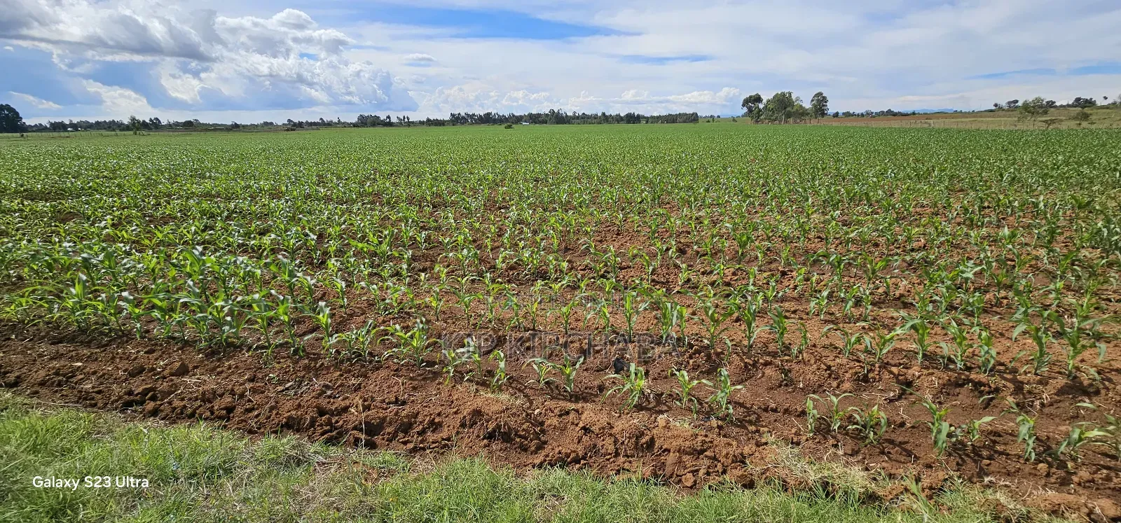 4 Acres for Sale in Kapropu Eldoret Fully Arable