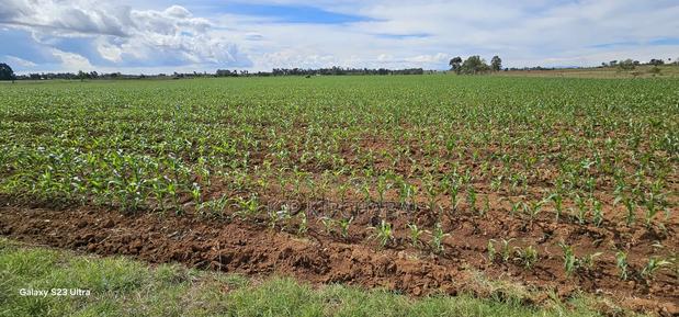 4 Acres for Sale in Kapropu Eldoret Fully Arable - thumbnail 7