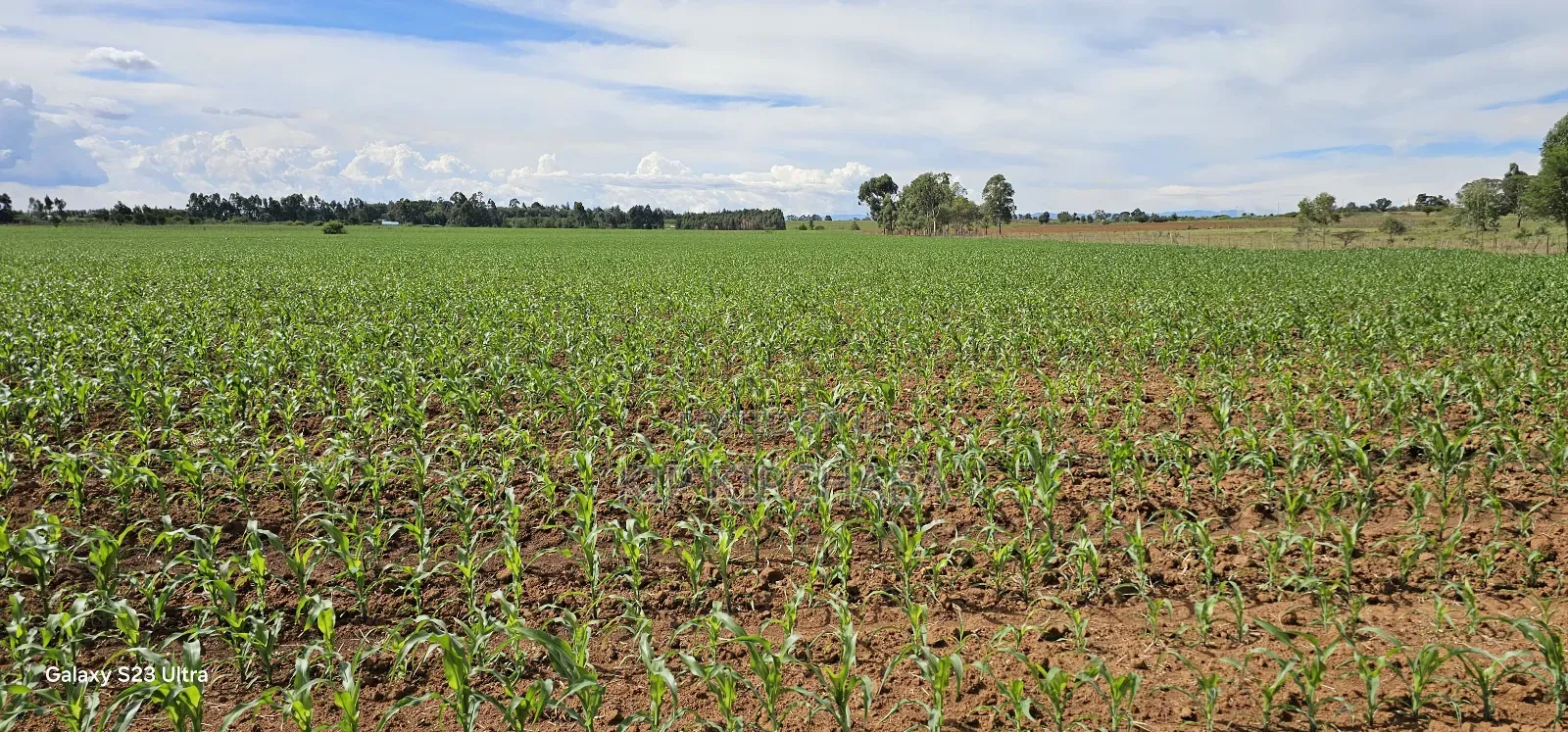4 Acres for Sale in Kapropu Eldoret Fully Arable