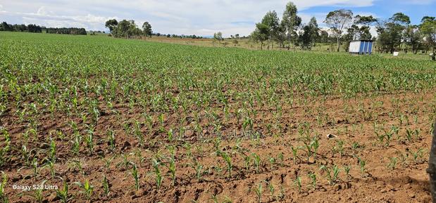 4 Acres for Sale in Kapropu Eldoret Fully Arable - thumbnail 9
